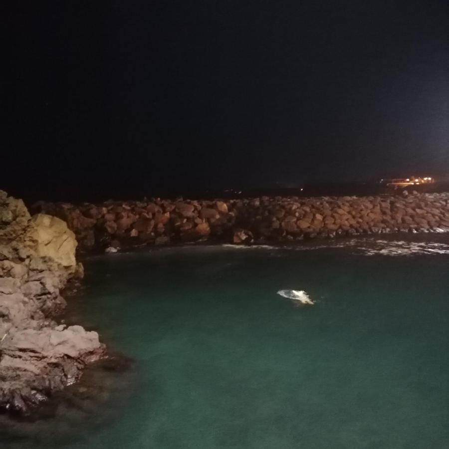 Espaco Roteiro De Mimos São Vicente Ferreira Buitenkant foto
