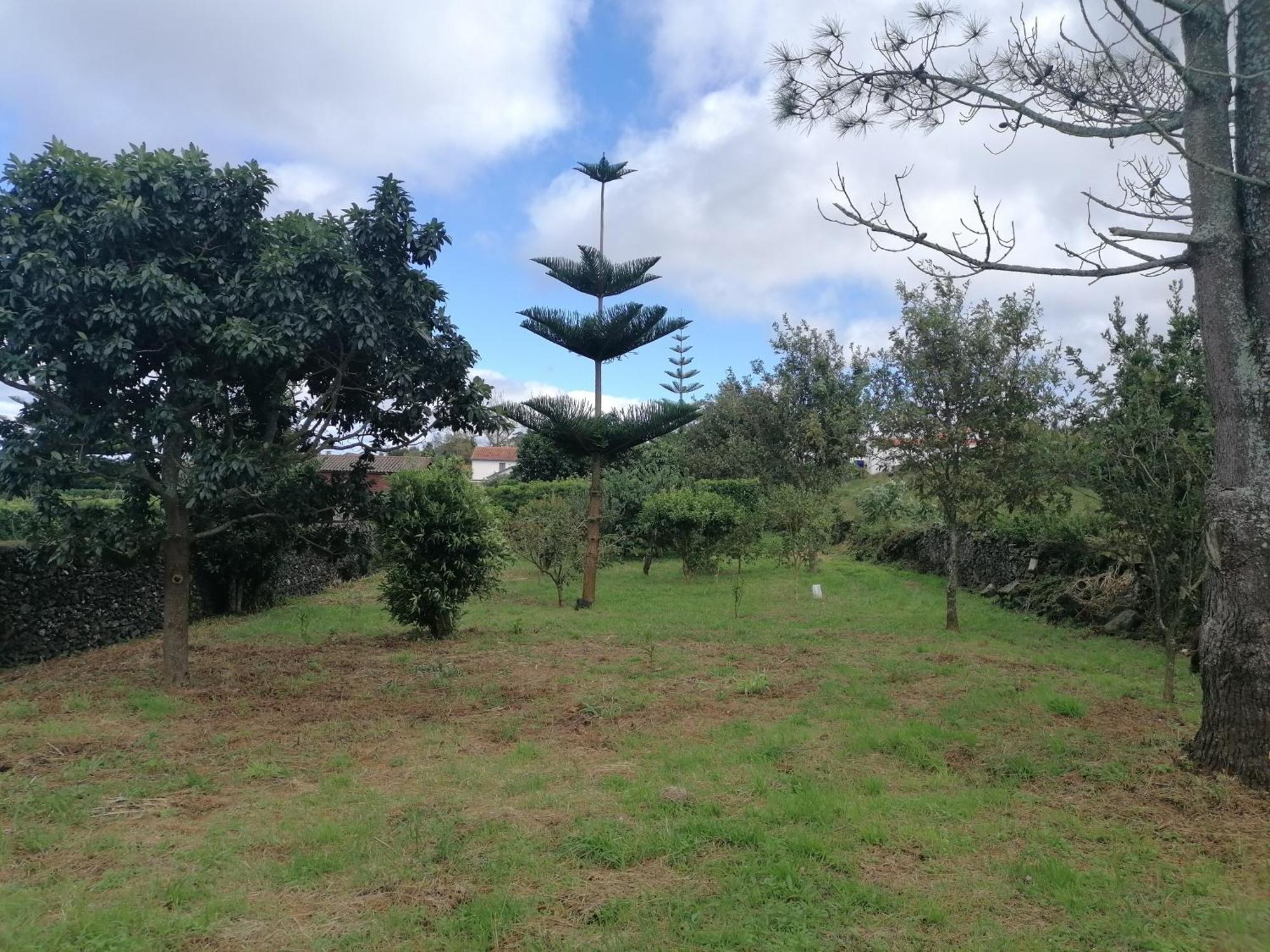 Espaco Roteiro De Mimos São Vicente Ferreira Buitenkant foto