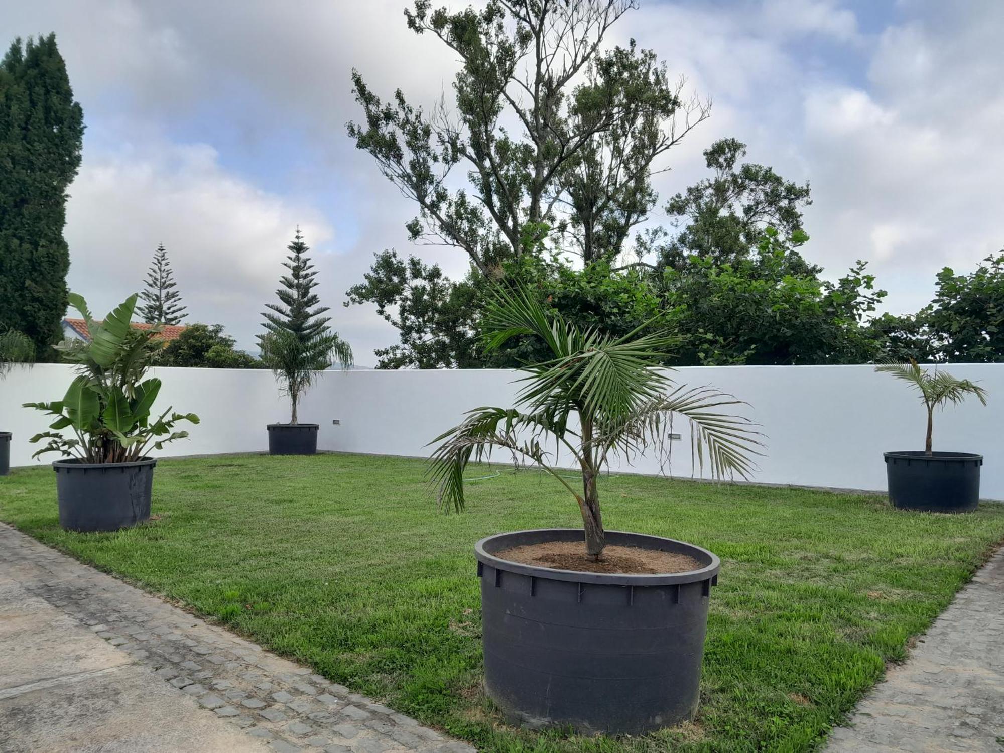 Espaco Roteiro De Mimos São Vicente Ferreira Buitenkant foto